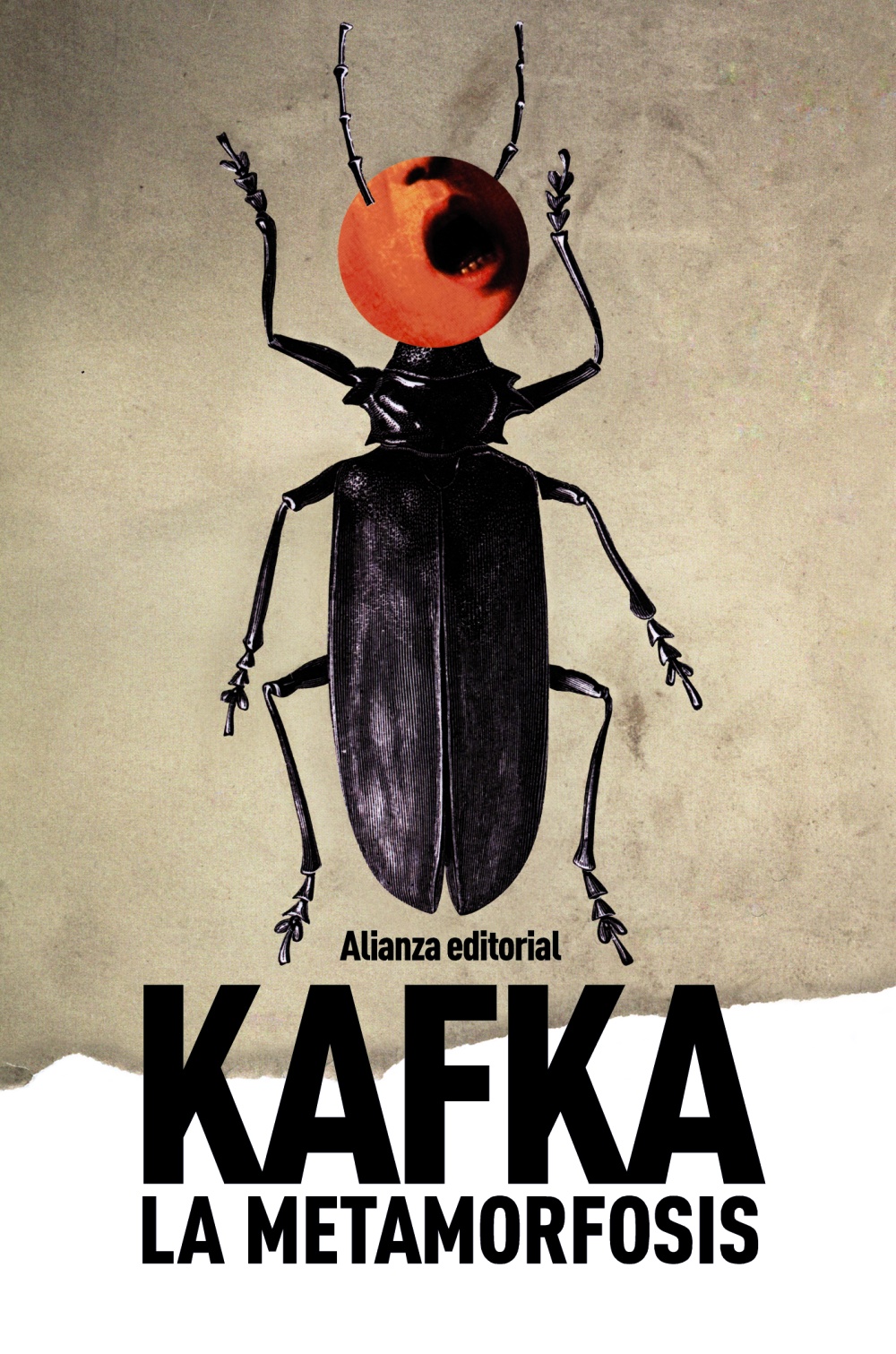 La metamorfosis – Frank Kafka